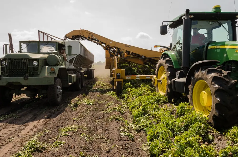Tractor cosechando en un campo